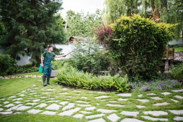 Trusted Hudson, NY Tree Services Experts